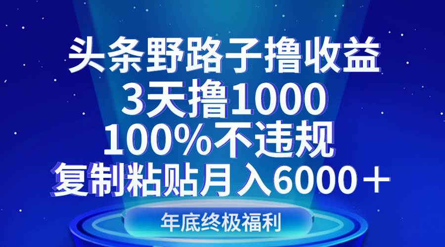 头条野路子撸收益,3天撸1000,100%不违规,复制粘贴月入6000+-知享知识库