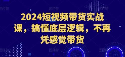 2024短视频带货实战课，搞懂底层逻辑，不再凭感觉带货-知享知识库