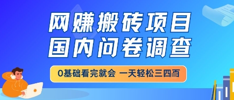 网创搬砖项目，国内问卷调查，小白轻松上手，一天三四张的也不难，干就完了【揭秘】-知享知识库