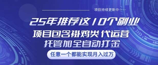 25年推荐这10个副业项目包含褂鸡类、代运营托管类、全自动打金类【揭秘】-知享知识库