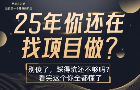 25年，你还在疯狂的找项目吗？别傻了，看完这个你都懂了【揭秘】-知享知识库