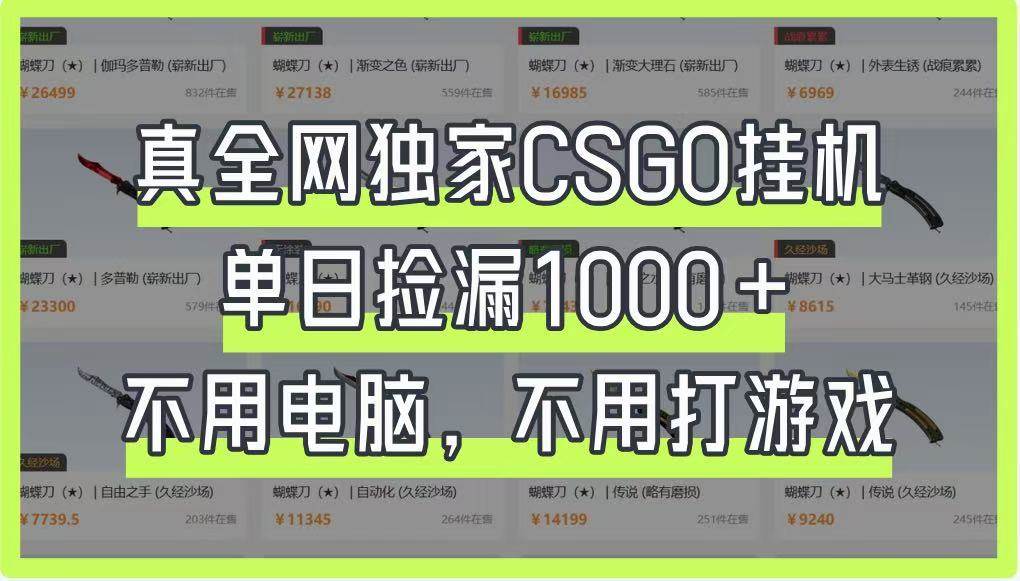 真全网独家CSGO挂机,单日捡漏1000+,不用电脑,不用养号-知享知识库