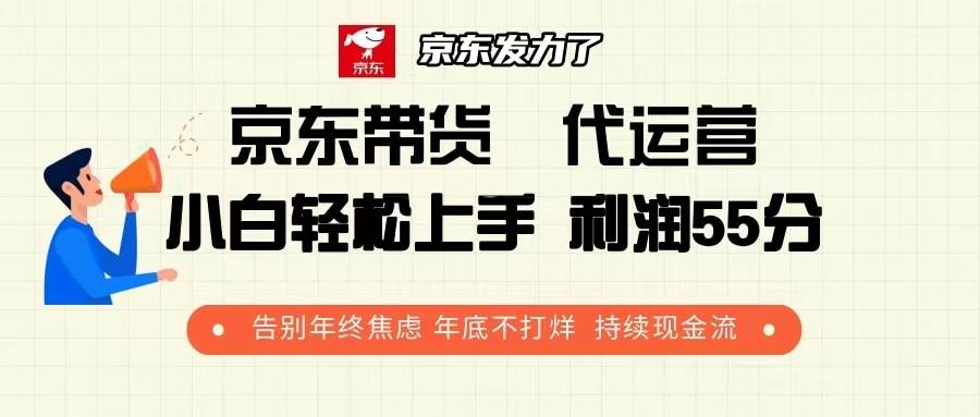 （13833期）京东带货 代运营 利润55分 告别年终焦虑 年底不打烊 持续现金流-知享知识库