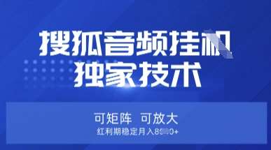 【搜狐音频挂G】独家技术，可矩阵可放大，红利期稳定月入8k【揭秘】-知享知识库