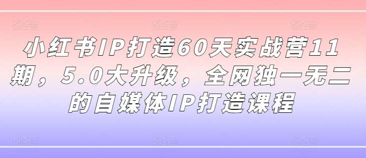 小红书IP打造60天实战营11期，5.0大升级，全网独一无二的自媒体IP打造课程-知享知识库