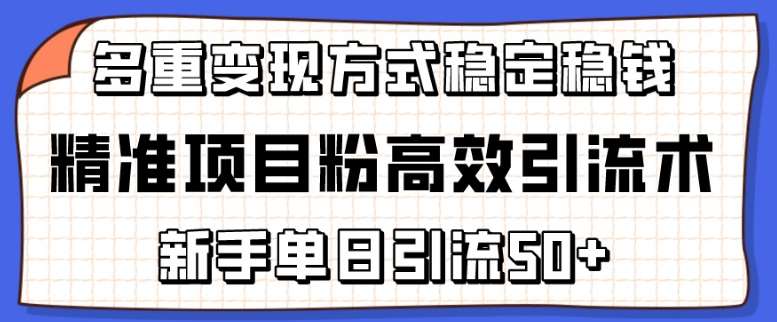 精准项目粉高效引流术,新手单日引流50+,多重变现方式稳定赚钱【揭秘】-知享知识库