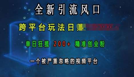 全新引流风口，跨平台玩法日入上k，单日狂揽200+精准创业粉，一个被严重忽略的视频平台-知享知识库