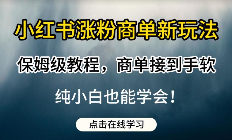 小红书涨粉商单新玩法,保姆级教程,商单接到手软,纯小白也能学会【揭秘】-知享知识库