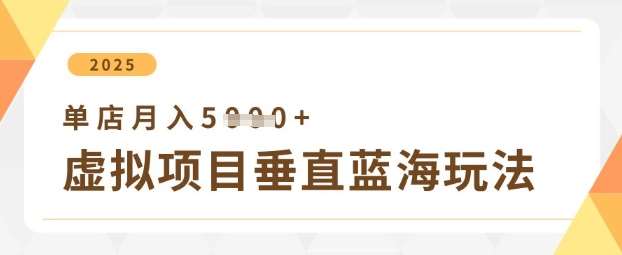 虚拟项目垂直玩法,实现单店月入5k+-知享知识库