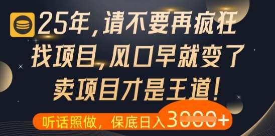 什么？25年你还在疯狂找项目做，醒醒吧，看完这些你全都懂了【揭秘】-知享知识库
