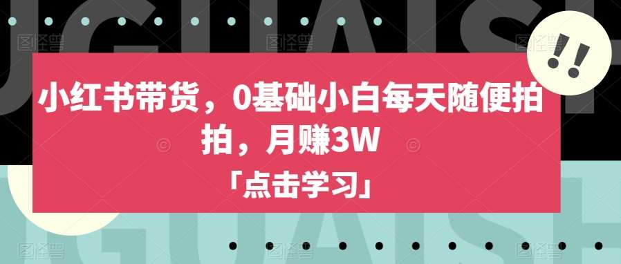 小红书带货，0基础小白每天随便拍拍，月赚3W【揭秘】-知享知识库