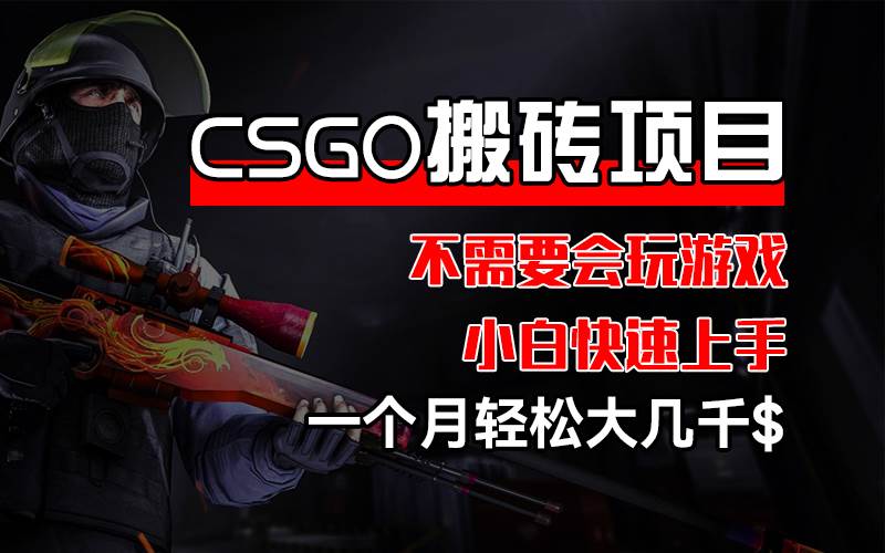 (12332期)CSGO 装备搬砖项目,操作简单,不需要会玩游戏,小白也能快速上手,一...-知享知识库
