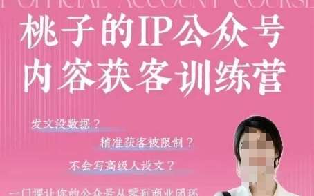 桃子IP公众号内容获客训练营(第3期)，一门让你公众号从0到商业闭环的课程-知享知识库