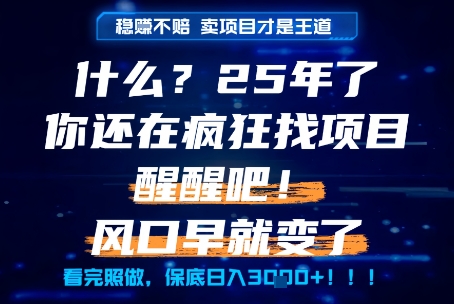 什么？25年你还在疯狂找项目做，醒醒吧，看完这些你全都懂了！【揭秘】-知享知识库