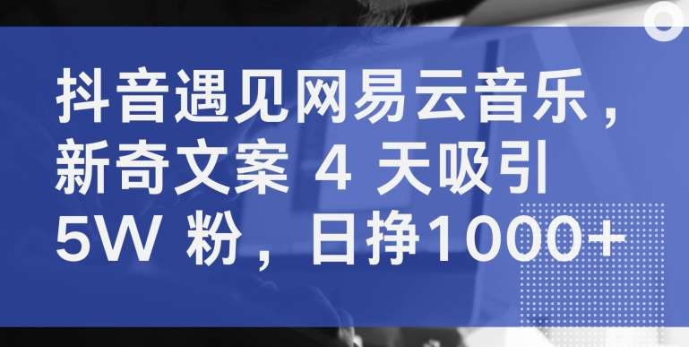 抖音遇见网易云音乐,新奇文案 4 天吸引 5W 粉,日挣1000+【揭秘】-知享知识库