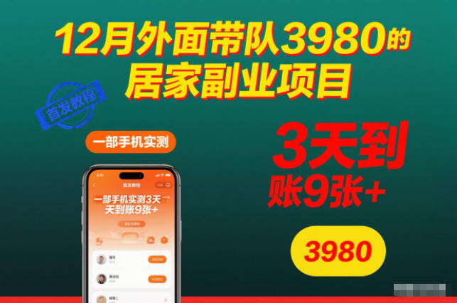 12月外面带队3980的居家副业项目，一部手机实测3天到账9张+，首发教程【揭秘】-知享知识库