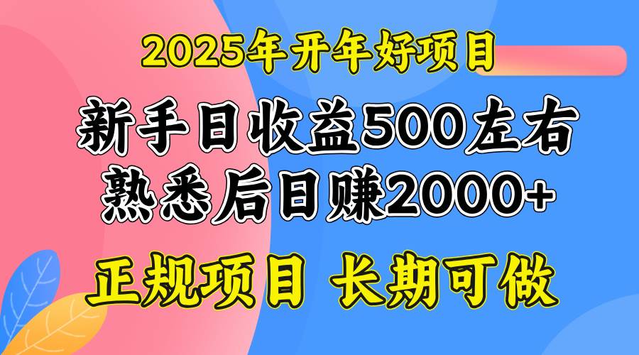 （14076期）2025开年好项目，单号日收益2000左右-知享知识库
