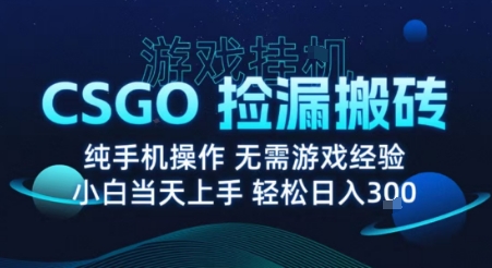 8月最新游戏搬砖，CSGO纯挂G，不需要玩游戏，实现真挂G，月入1W+【揭秘】-知享知识库