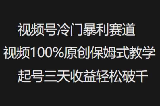 视频号冷门暴利赛道视频100%原创保姆式教学起号三天收益轻松破千-知享知识库