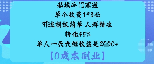 私域冷门赛道:单个收费198米引流模板简单人群精准转化45%单人一天大概收益是1k+-知享知识库