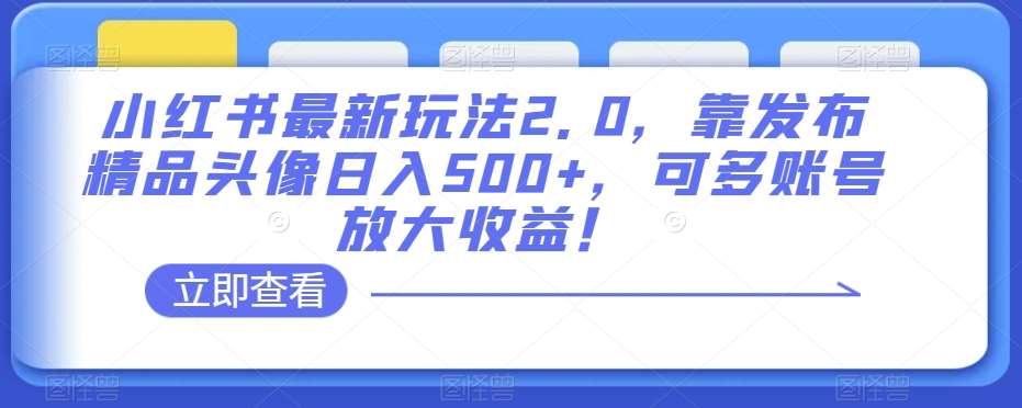 小红书最新玩法2.0，靠发布精品头像日入500+，可多账号放大收益！【揭秘】-知享知识库