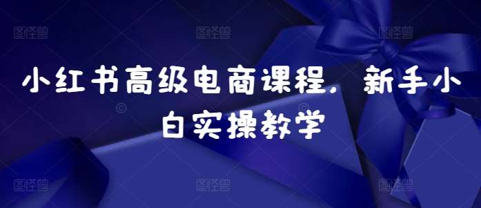 小红书高级电商课程,新手小白实操教学-知享知识库