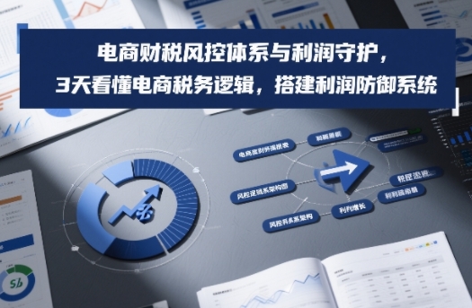 电商财税风控体系与利润守护，3天看懂电商税务逻辑，搭建利润防御系统-知享知识库