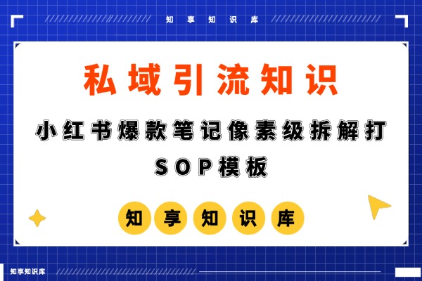 小红书爆款笔记像素级拆解打SOP模板-知享知识库