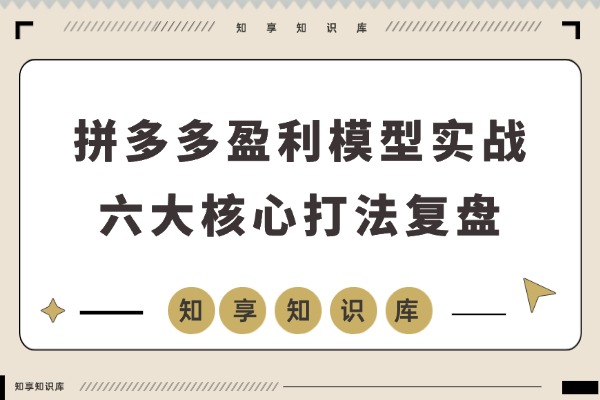 拼多多盈利模型实战课:六大核心打法复盘,灵活应用稳定产出高利润-知享知识库
