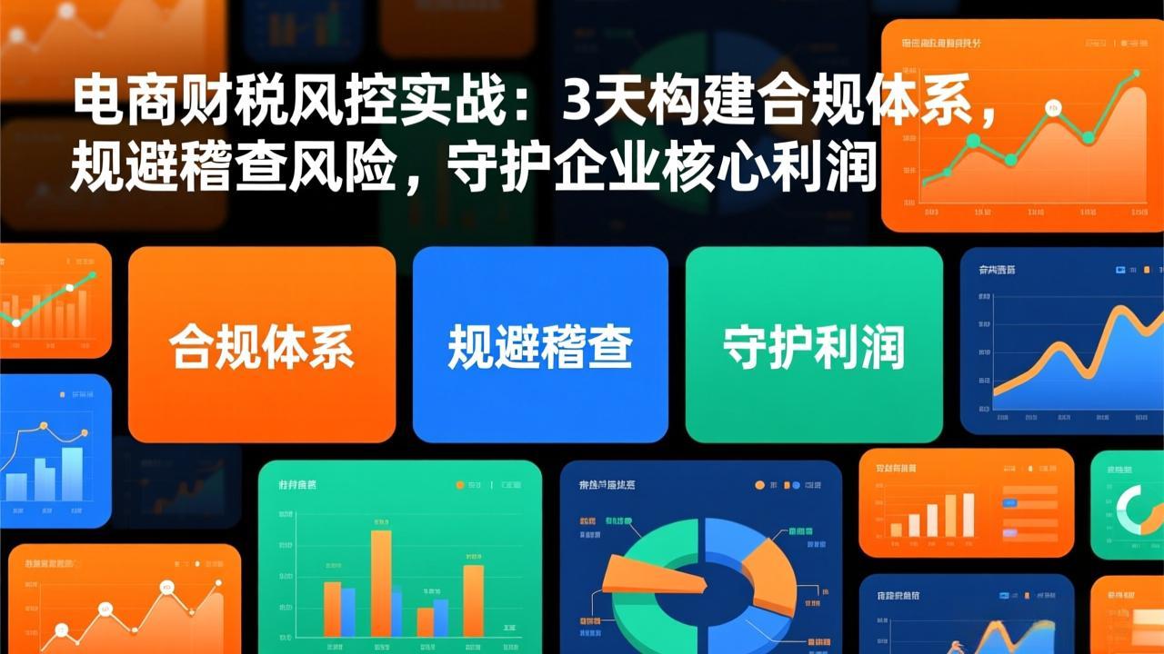 (17197期)电商财税风控实战:3天构建合规体系,规避稽查风险,守护企业核心利润-知享知识库