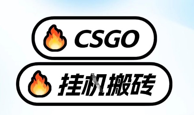 真全网独家CSGO挂G，最新玩法,单日捡漏1K+，不用电脑，不用打游戏【揭秘】-知享知识库