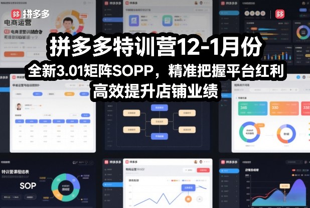 拼多多特训营12-1月份，全新3.01矩阵Sop，精准把握平台红利，高效提升店铺业绩-知享知识库