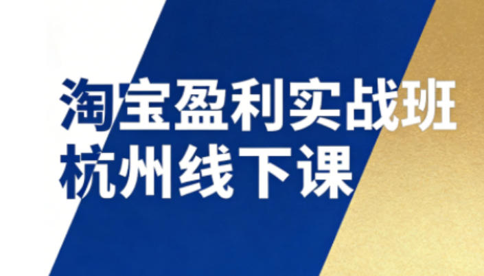 淘宝盈利实战班杭州线下课12月26-28日（音频+字幕），帮你掌握SOP流程+12门核心技术-知享知识库