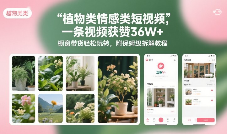 植物类情感类短视频，一条视频获赞36W+，橱窗带货轻松玩转，附保姆级拆解教程-知享知识库