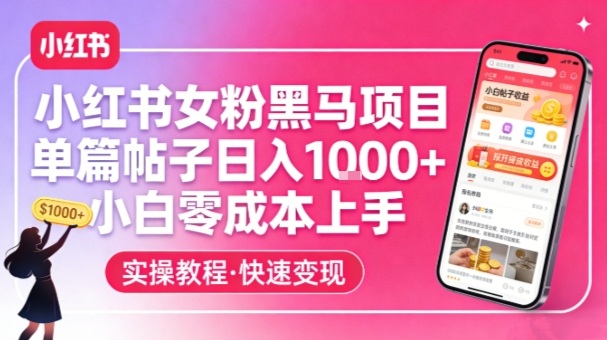 小红书女粉黑马项目，单篇帖子日入1k+，小白零成本上手-知享资源网