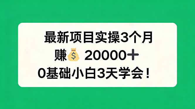 （17856期）最新项目实操3个月，赚钱20000+，0基础小白3天学会！-知享资源网