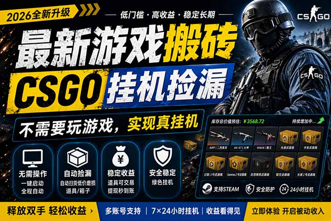 （18182期）最新游戏搬砖，CSGO纯挂机，不需要玩游戏，实现真挂机，月入1W+，五一小高峰上车可吃肉，…-知享资源网