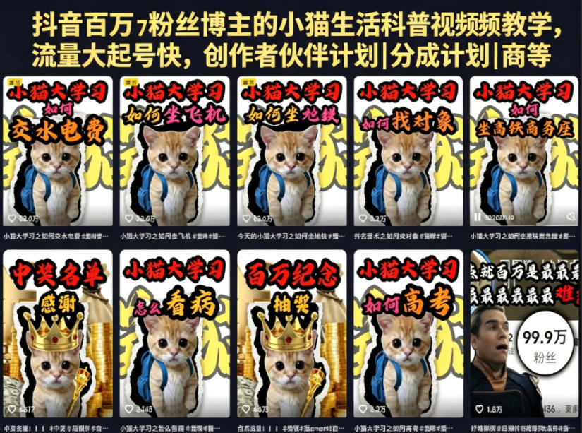 抖音百万粉丝博主的小猫生活科普视频教学，流量大起号快，创作者伙伴计划|分成计划|商单|收徒等-知享资源网