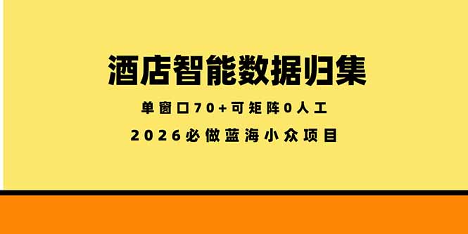 （18500期）酒店智能数据归集，小众蓝海已经稳定半年之久，单窗口70+零成本矩阵开干-知享资源网