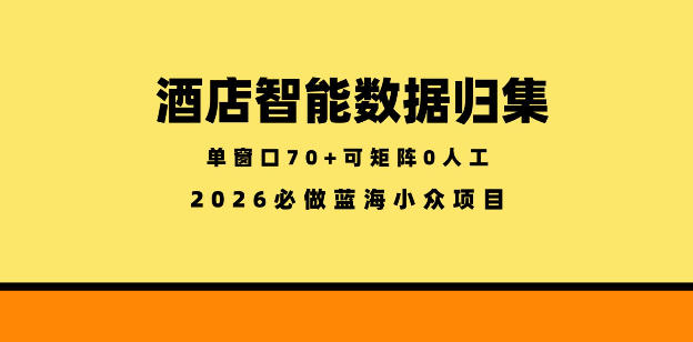 酒店智能数据归集，小众蓝海已经稳定半年之久，单窗口70+零成本矩阵开干【揭秘】-知享资源网