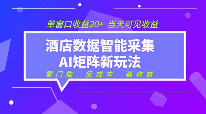 （19041期）2026酒店数据采集ai智能矩阵新风口  低成本   高收益   当天见收益   单窗口20+-知享资源网