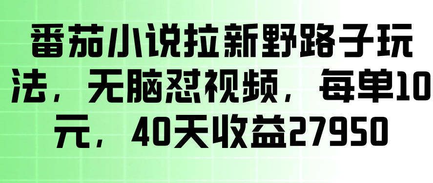番茄小说拉新野路子玩法,无脑怼视频,玩法简单、见效快,每单10米,40天收益27950-知享资源网