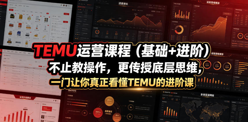 TEMU运营课程（基础+进阶），不止教操作，更传授底层思维，一门让你真正看懂TEMU的进阶课-知享资源网