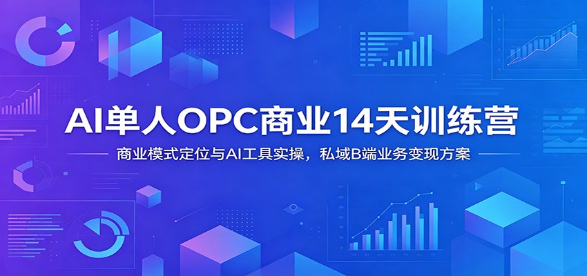 AI单人OPC商业14天训练营：商业模式定位与AI工具实操，私域B端业务变现方案-知享资源网