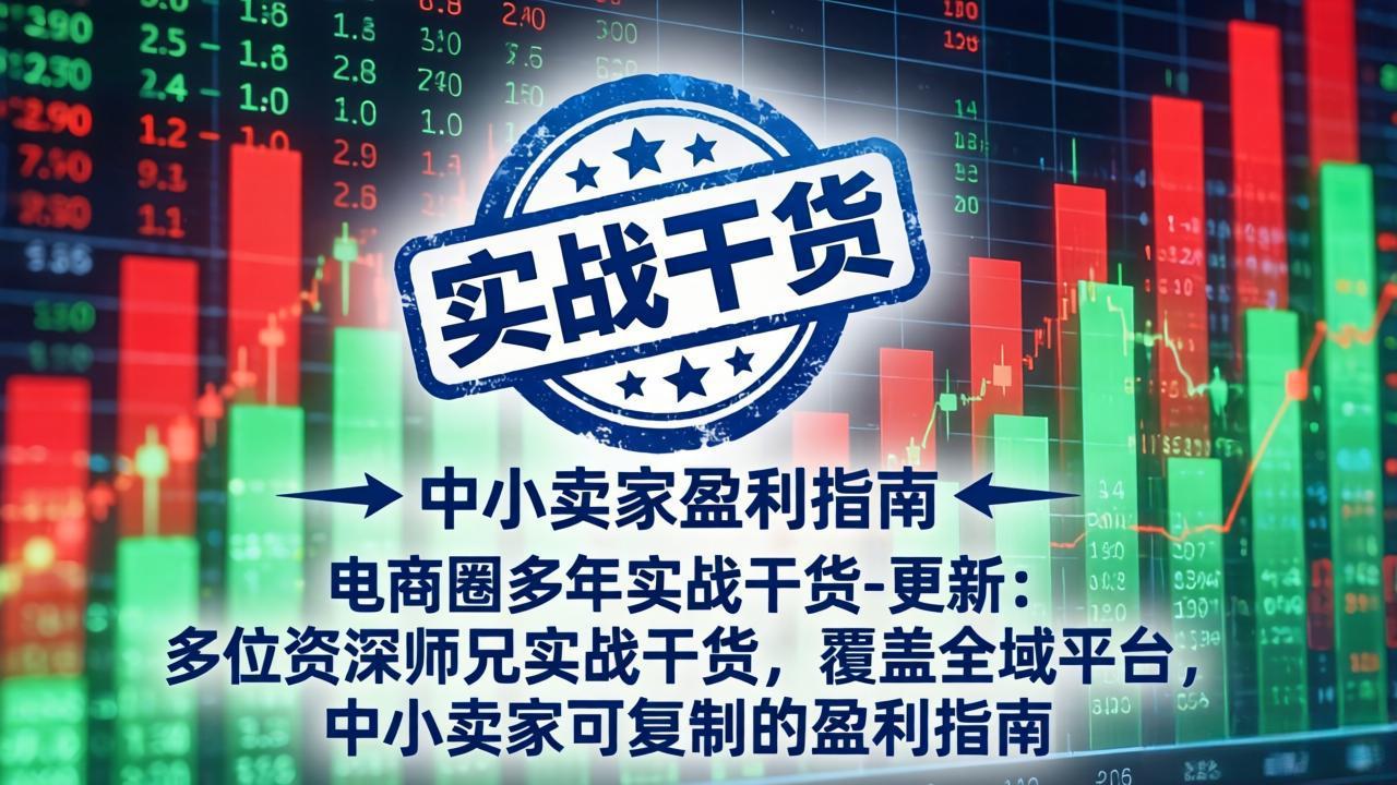 （19447期）电商圈多年实战干货-更新2026：多位资深师兄实战干货/覆盖全域平台，中小卖家可复制的盈利指南-知享资源网
