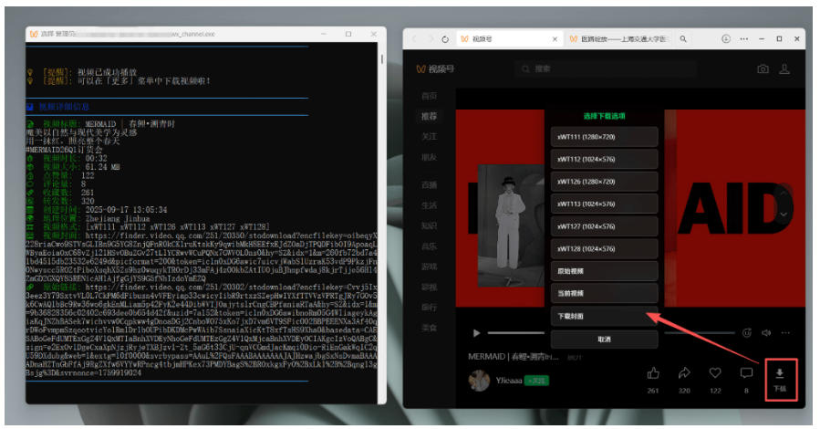 图片[4]-Github热门工具，视频号下载神器又来了！一键注入下载按钮，轻松下载，使用便捷wx_channel-知享资源网