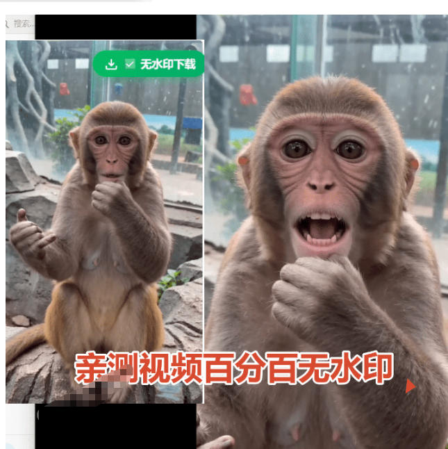 图片[2]-豆包无水印下载终于来了！支持豆包图片/视频，目前唯一免费使用的插件，浏览器拓展-知享资源网
