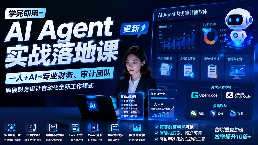 （19702期）学完即用—AI Agent实战落地课-更新：一人+AI=专业财务、审计团队，解锁财务审计自动化全新工作模式-知享资源网
