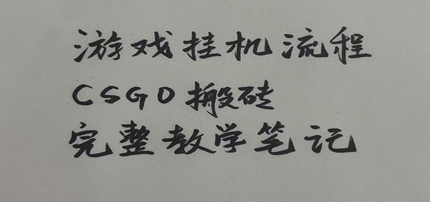 游戏挂机全流程笔记分享，CSGO游戏搬砖，小白看了当天学会见收益-知享资源网